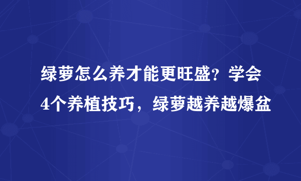 绿萝怎么养才能更旺盛？学会4个养植技巧，绿萝越养越爆盆