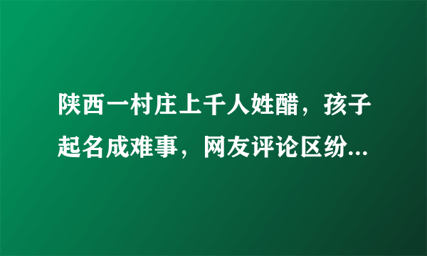 陕西一村庄上千人姓醋，孩子起名成难事，网友评论区纷纷支招！