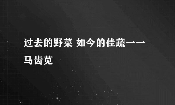 过去的野菜 如今的佳蔬一一马齿苋