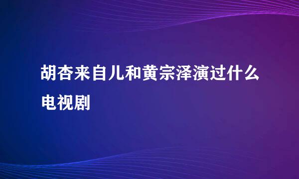 胡杏来自儿和黄宗泽演过什么电视剧