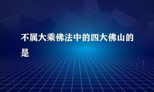 不属大乘佛法中的四大佛山的是