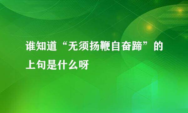 谁知道“无须扬鞭自奋蹄”的上句是什么呀