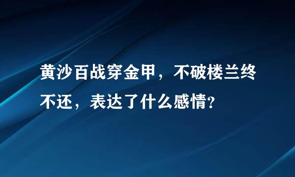 黄沙百战穿金甲，不破楼兰终不还，表达了什么感情？