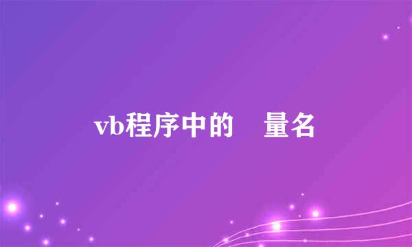 vb程序中的變量名