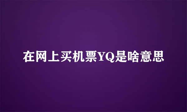 在网上买机票YQ是啥意思