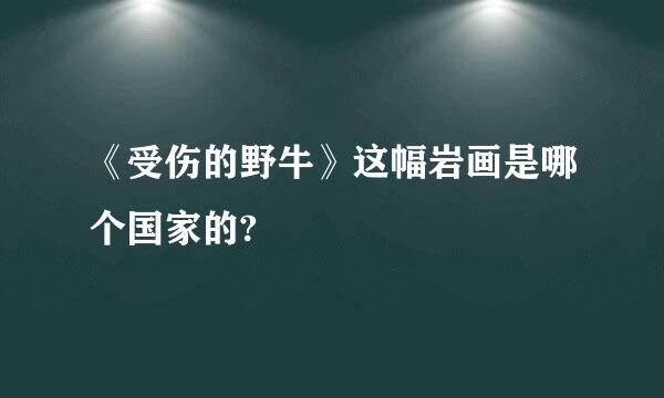 《受伤的野牛》这幅岩画是哪个国家的?