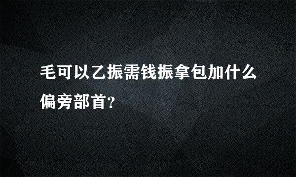 毛可以乙振需钱振拿包加什么偏旁部首？