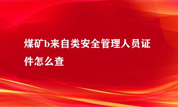 煤矿b来自类安全管理人员证件怎么查