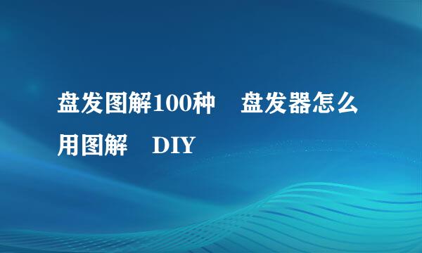 盘发图解100种 盘发器怎么用图解 DIY