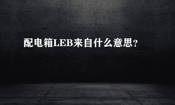 配电箱LEB来自什么意思？