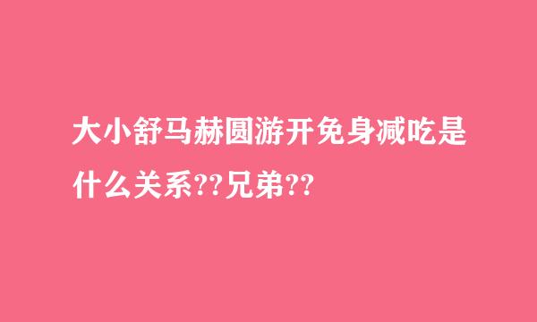 大小舒马赫圆游开免身减吃是什么关系??兄弟??