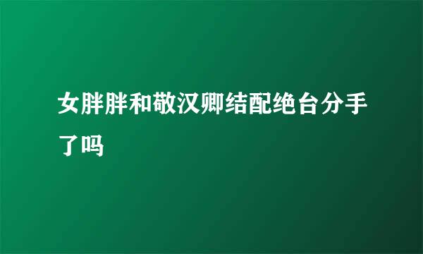 女胖胖和敬汉卿结配绝台分手了吗