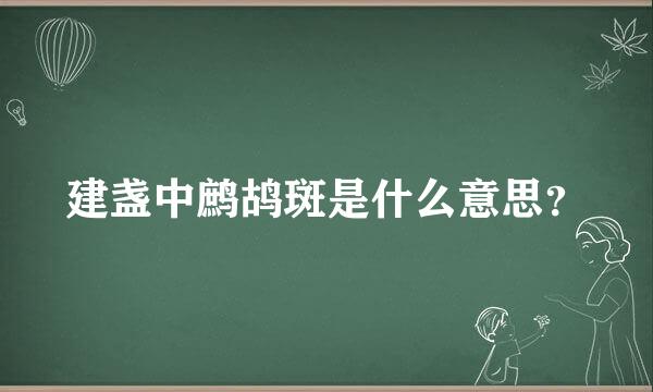 建盏中鹧鸪斑是什么意思？