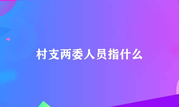 村支两委人员指什么