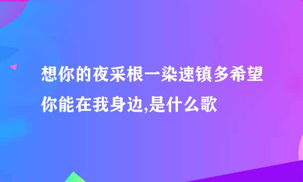 想你的夜采根一染速镇多希望你能在我身边,是什么歌