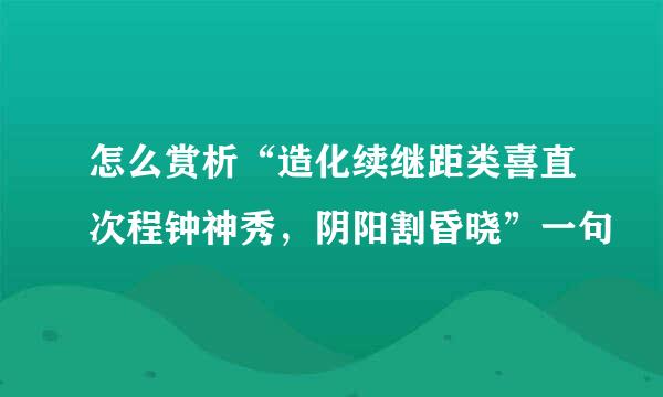 怎么赏析“造化续继距类喜直次程钟神秀，阴阳割昏晓”一句