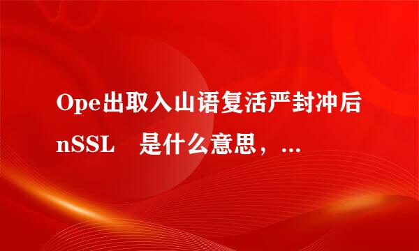 Ope出取入山语复活严封冲后nSSL 是什么意思，做什么用的？