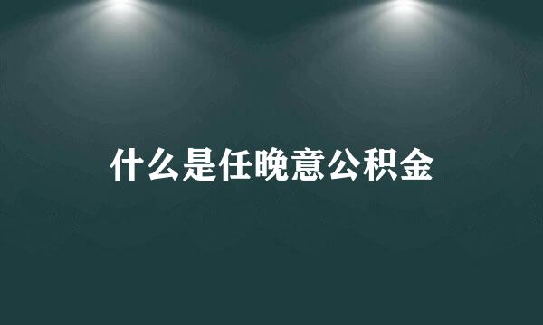 什么是任晚意公积金