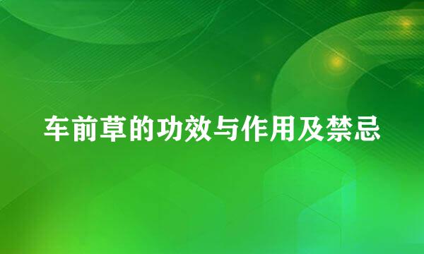 车前草的功效与作用及禁忌