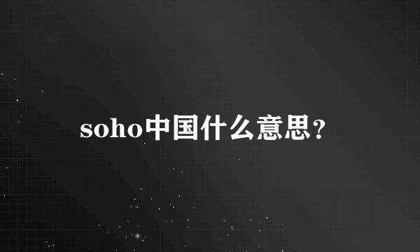 soho中国什么意思？