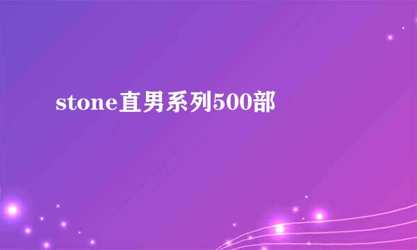 stone直男系列500部