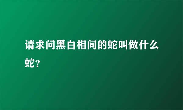 请求问黑白相间的蛇叫做什么蛇？