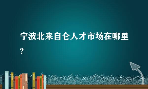 宁波北来自仑人才市场在哪里?