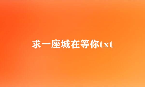 求一座城在等你txt