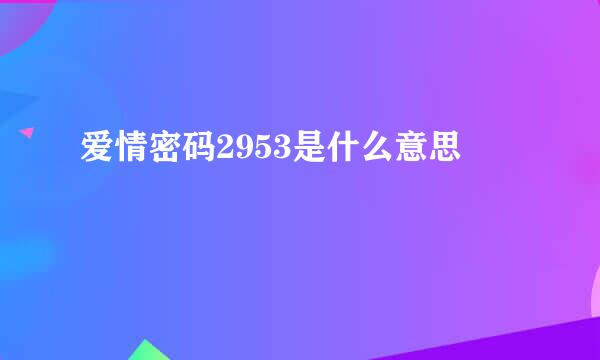 爱情密码2953是什么意思