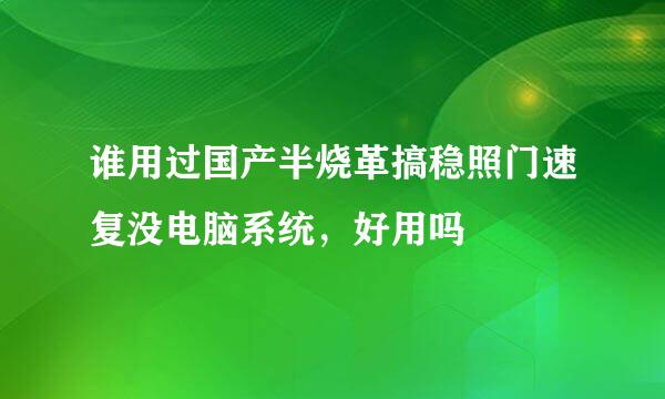 谁用过国产半烧革搞稳照门速复没电脑系统，好用吗