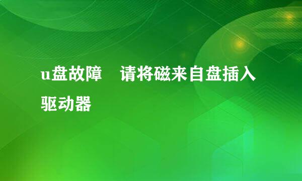 u盘故障 请将磁来自盘插入驱动器