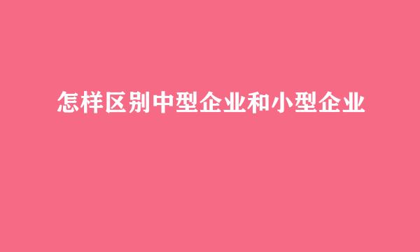 怎样区别中型企业和小型企业