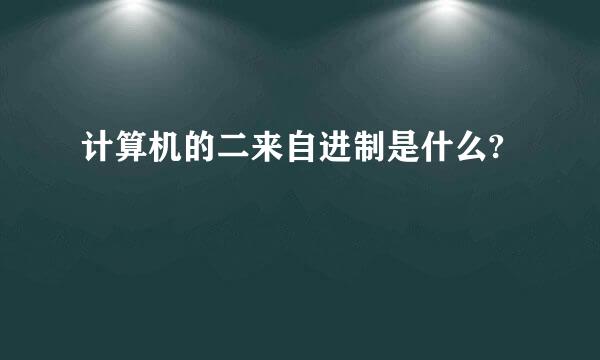 计算机的二来自进制是什么?