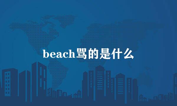 beach骂的是什么