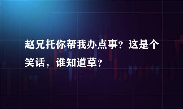 赵兄托你帮我办点事？这是个笑话，谁知道草？