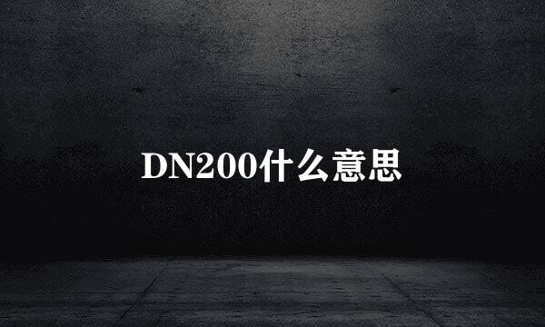 DN200什么意思