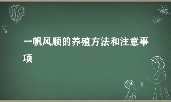 一帆风顺的养殖方法和注意事项