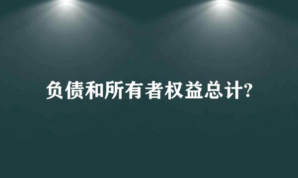 负债和所有者权益总计?