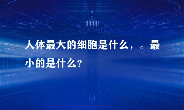 人体最大的细胞是什么，。最小的是什么？