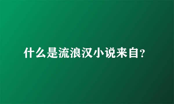 什么是流浪汉小说来自？