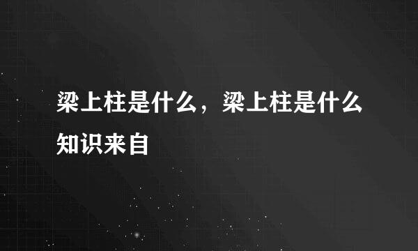 梁上柱是什么，梁上柱是什么知识来自