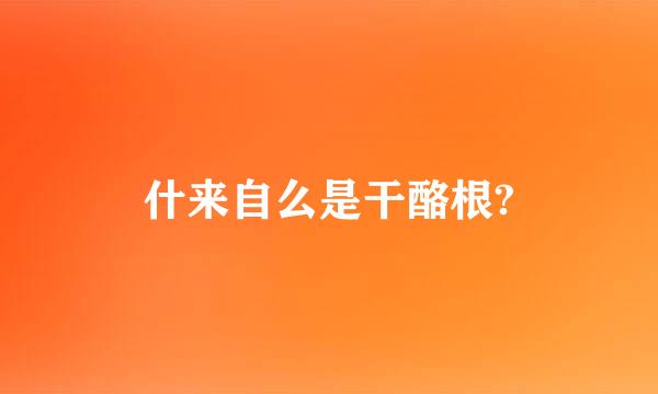 什来自么是干酪根?