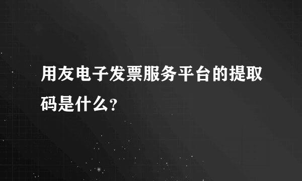 用友电子发票服务平台的提取码是什么？