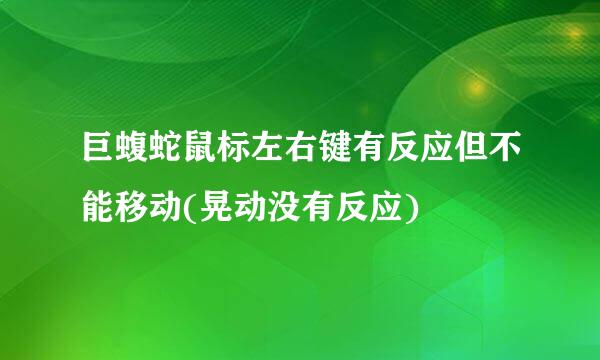 巨蝮蛇鼠标左右键有反应但不能移动(晃动没有反应)