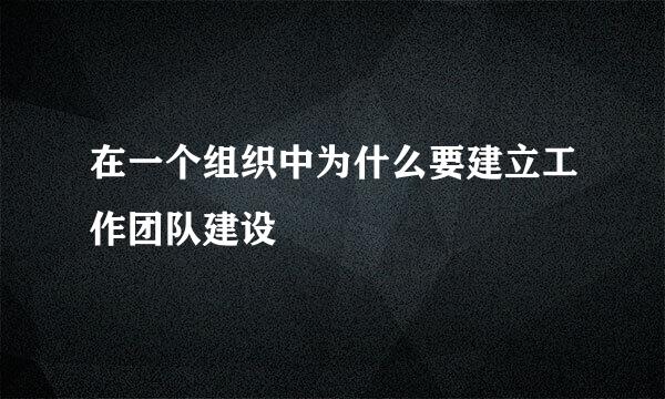 在一个组织中为什么要建立工作团队建设