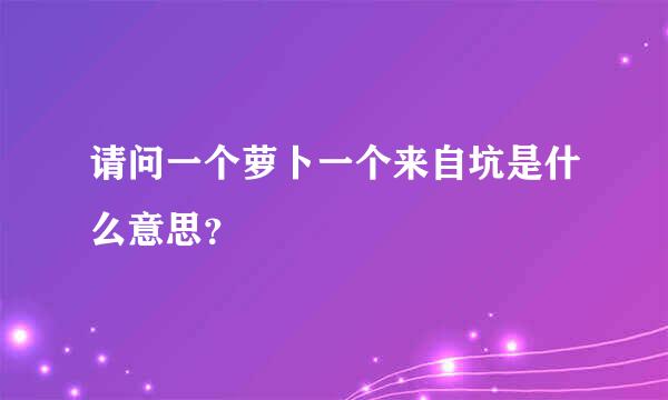 请问一个萝卜一个来自坑是什么意思？