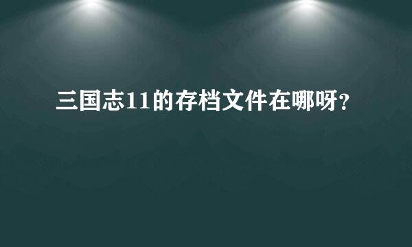 三国志11的存档文件在哪呀？