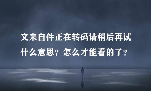 文来自件正在转码请稍后再试什么意思？怎么才能看的了？