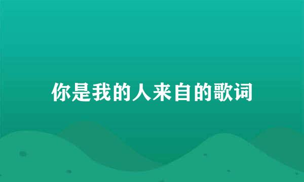 你是我的人来自的歌词