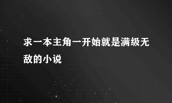 求一本主角一开始就是满级无敌的小说